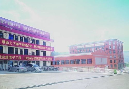 三峽國(guó)際農(nóng)產(chǎn)品集散基地 商貿(mào)區(qū) 年底投入運(yùn)營(yíng) 豐富渝東北片區(qū) 菜籃子